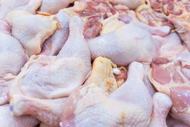 Fresh chicken for horse - Is It Good or Bad?