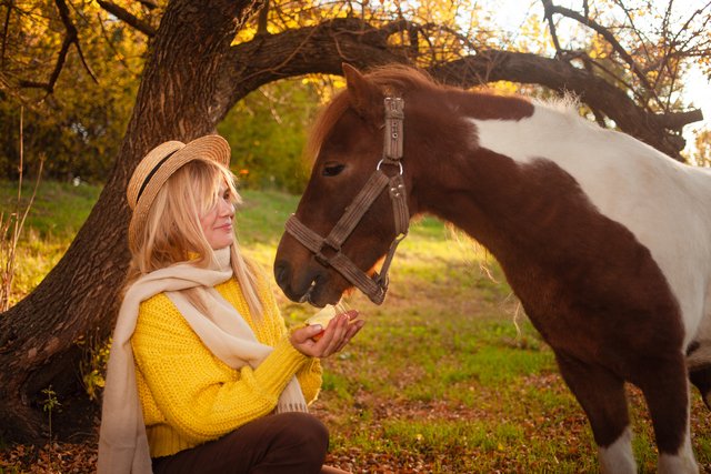 horse eat pears